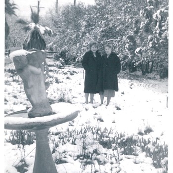 Photo of Bombi Dausin